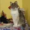 Отзыв от Катя Сухова